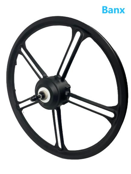 Integrated Wheel Rear Drive Motor with Big Size