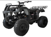 ATV motor