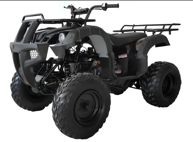 ATV motor